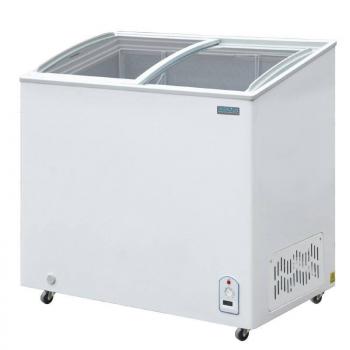 Polar Serie G Verkaufsgefriertruhe 200L